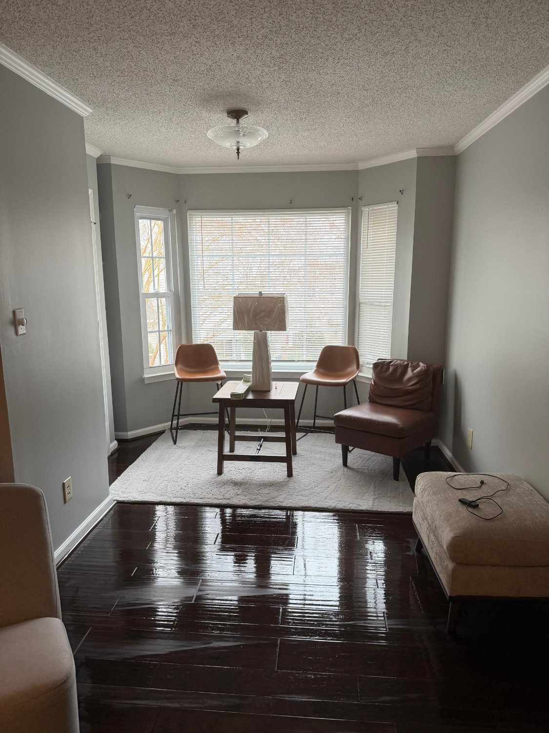 Glossy hardwood flooring in living room